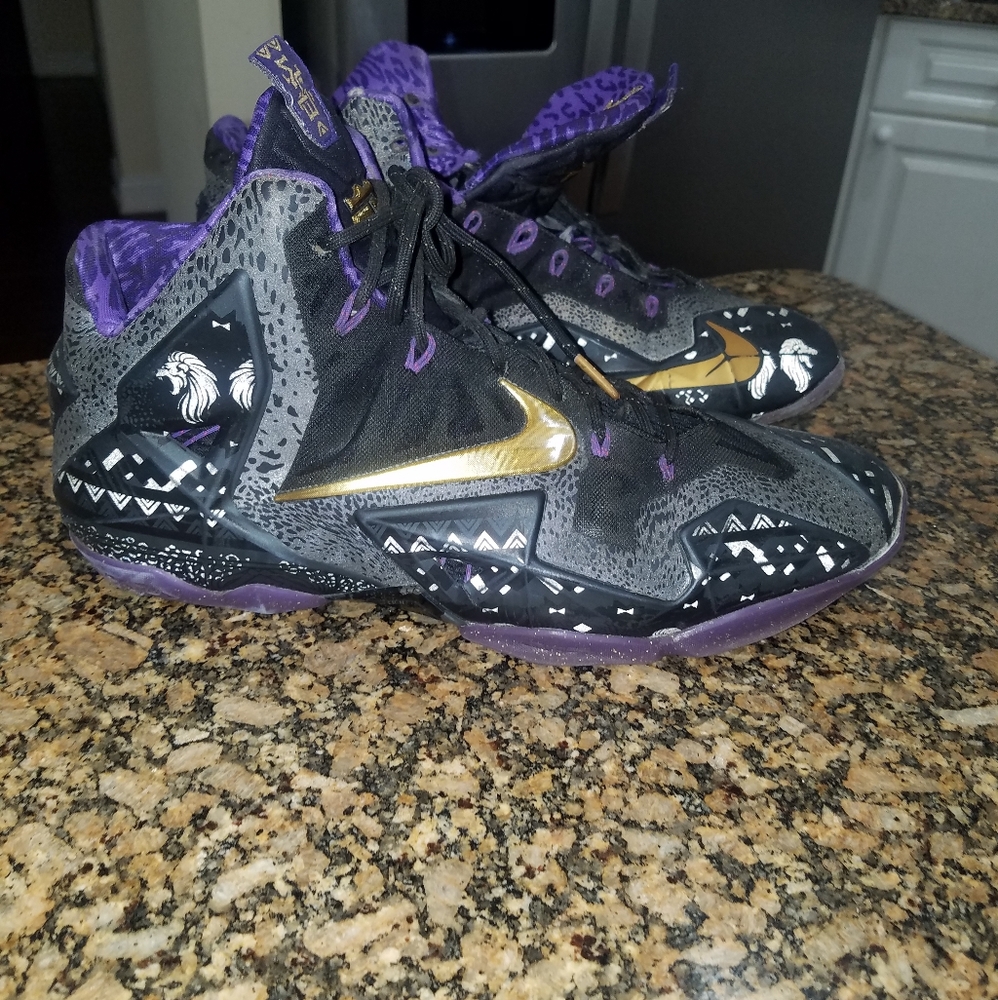 Lebron 11s "black history "